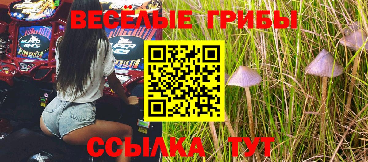 Галлюциногенные грибы Magic Shrooms Бугульма